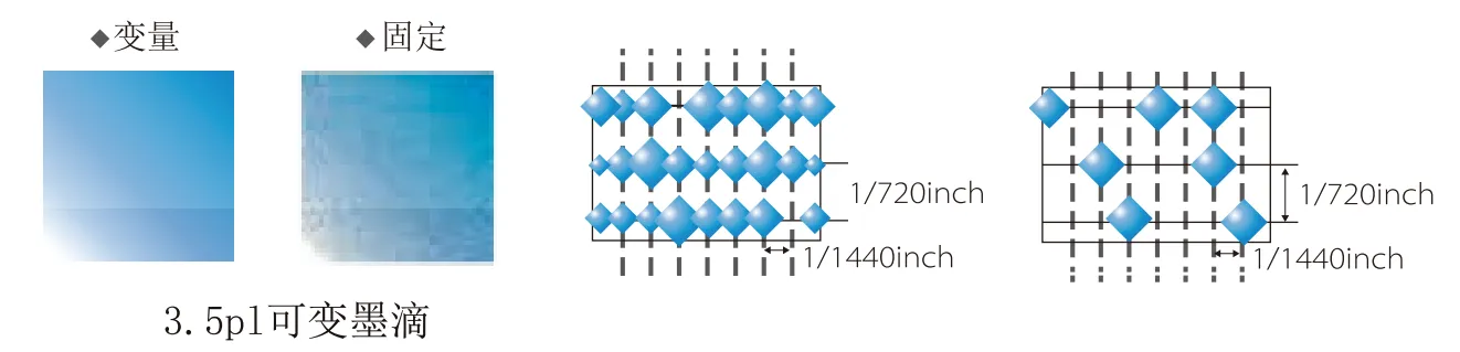 product-1322-319 product-1322-319